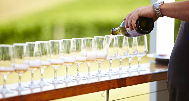 Yarra Valley Wine, Cheese & Chocolate Tour - Wildlife Tours Australia