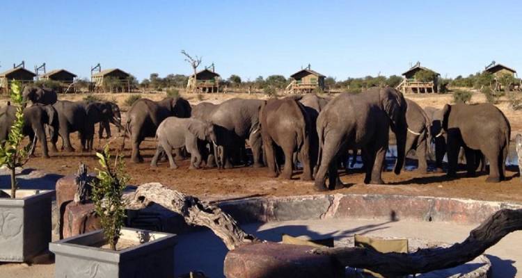 Desert Tracker 25 days - Acacia Adventure Holidays