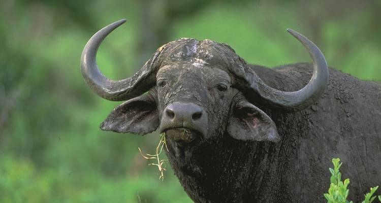 South West Safari 25 days - Acacia Adventure Holidays