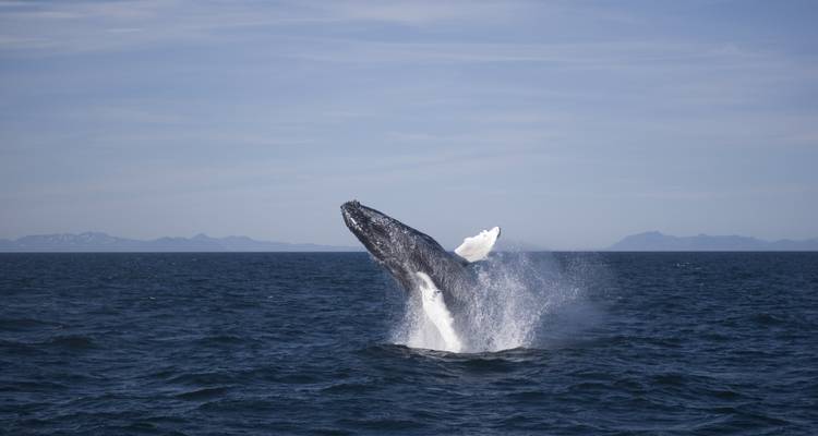 6 Day Summer Package - Arctic Adventures