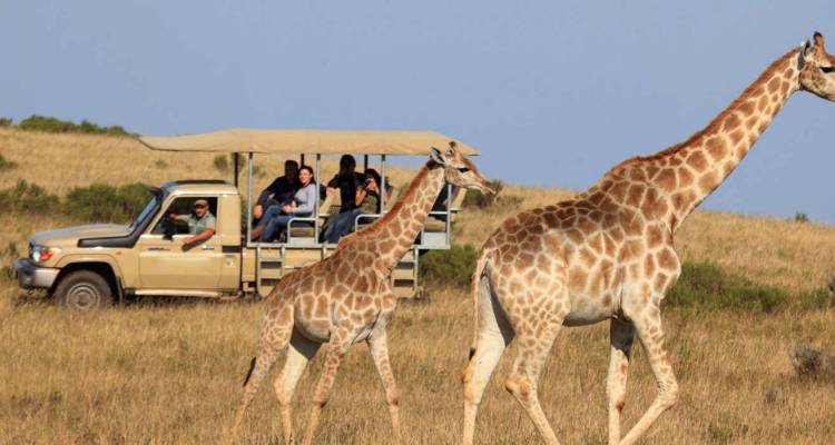 Garden Route and Safari - Hotspots2c