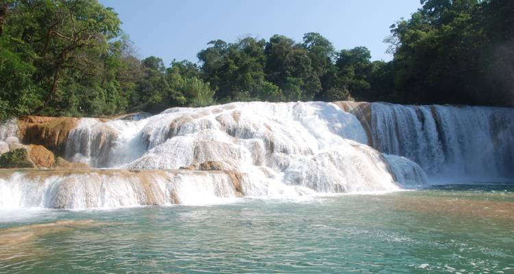 Cascades d'Agua Azul en cascade avec une végétation luxuriante.