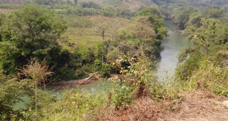 Ruhiger Fluss, der sich durch üppiges Grün schlängelt.
