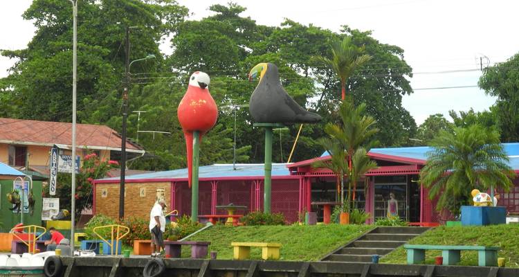 Estructuras coloridas con grandes esculturas de aves en un entorno tropical.