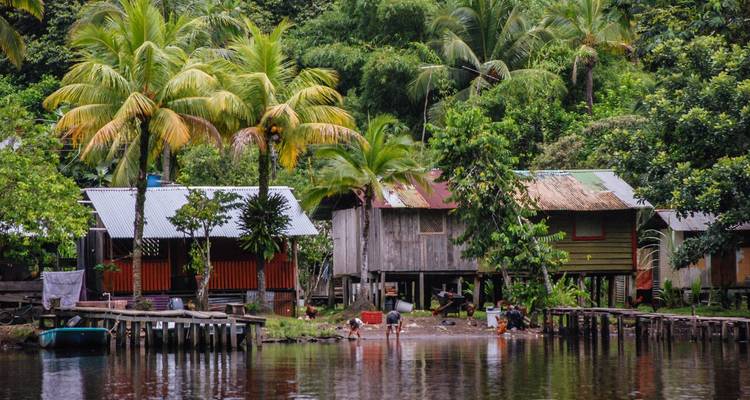 Casas ribereñas tropicales con vegetación exuberante.