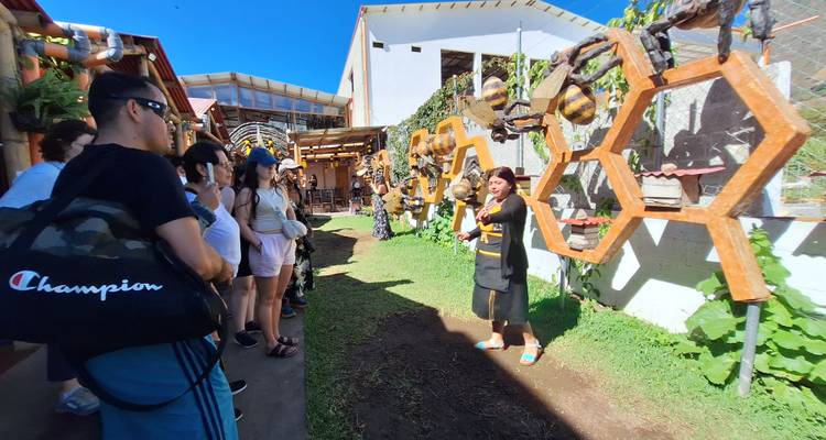 Grupo de turistas observando a un guía demostrando algo al aire libre.