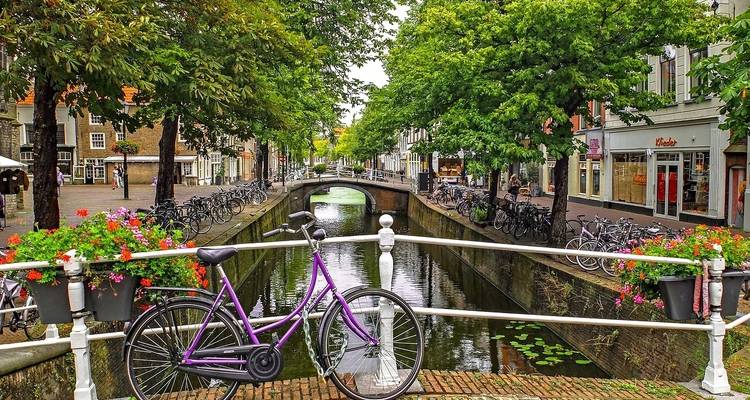 Quaint street in Delft with a purple bicycle on a bridge over a canal.