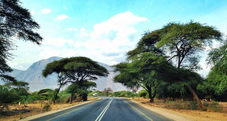 Camino rural pavimentado flanqueado por acacias paraguas que lleva hacia montañas distantes bajo cielos azules