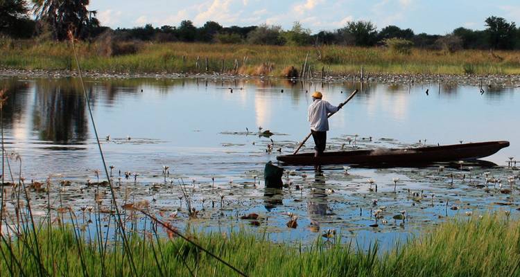 Un guía solitario impulsa una canoa de madera estrecha a través de una laguna tranquila cubierta de lirios rodeada de juncos bajo un cielo azul.