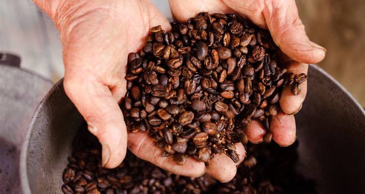 Las manos ásperas acunan un montón de granos de café recién tostados en una finca local.