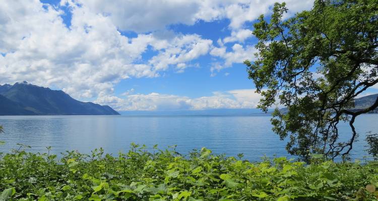 Geneva with Mont Blanc & Paris - Monograms