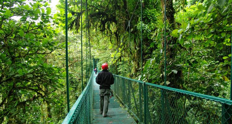 Los excursionistas que usan cascos caminan por un puente colgante estrecho en lo profundo de una exuberante y verde selva nubosa.