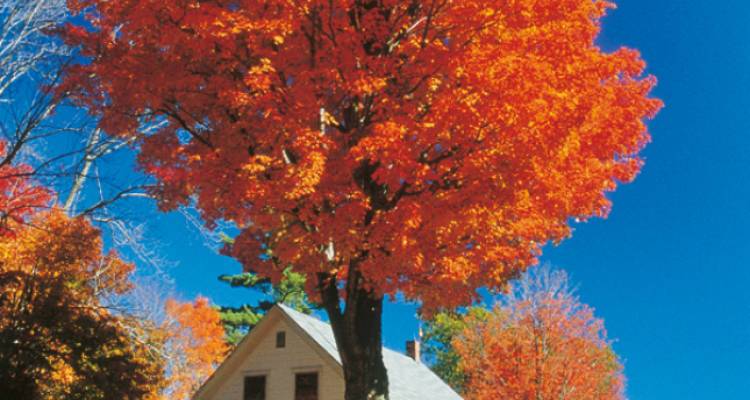 New England's Fall Foliage (Summer 2019) - Insight Vacations