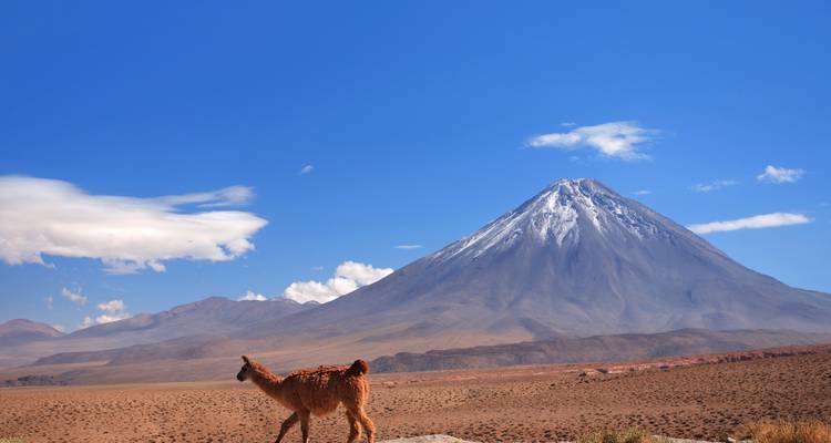 I notice that the text you provided is already in Spanish, not English. "Llama walking in front of a volcano in the desert" would be the English version.
The Spanish text "Llama walking in front of a volcano in the desert" appears to be a mix of Spanish and English. A proper Spanish translation would be:
**"Llama caminando frente a un volcán en el desierto."**