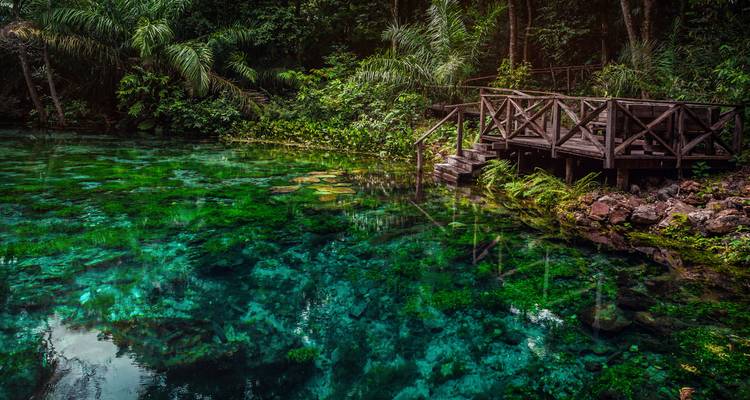 Explore Northern Brazil & Amazon - G Adventures