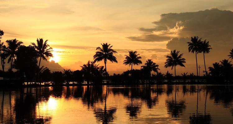 Palmen spiegeln sich in ruhigen Backwater-Kanälen bei Sonnenuntergang und tauchen den Himmel und das Wasser in warme goldene Töne.