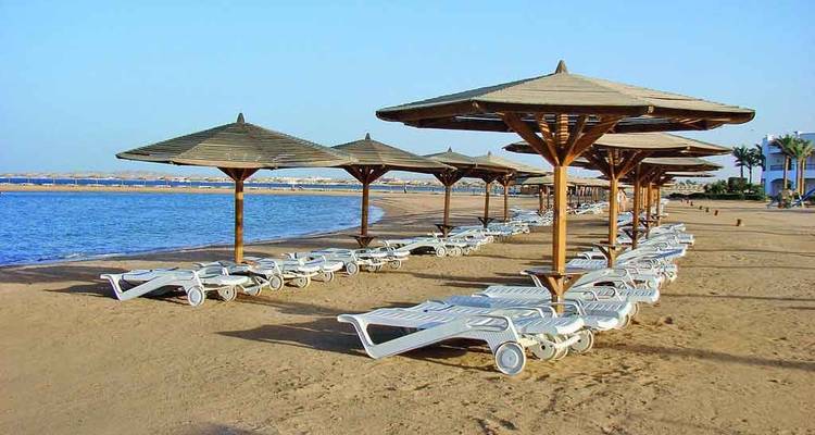 Plage vide avec des rangées de chaises longues et de parasols.
