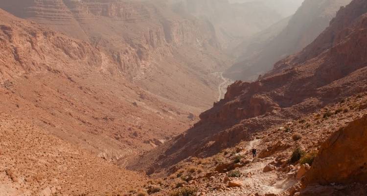 Uitzicht op een uitgestrekt canyonlandschap.