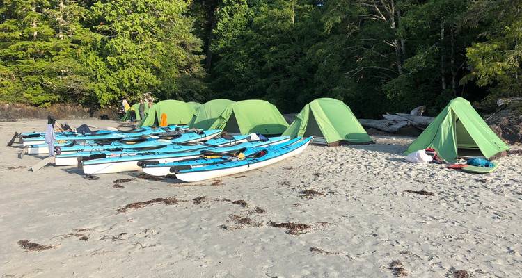 Sitio de campamento en la playa con kayaks y tiendas de campaña.