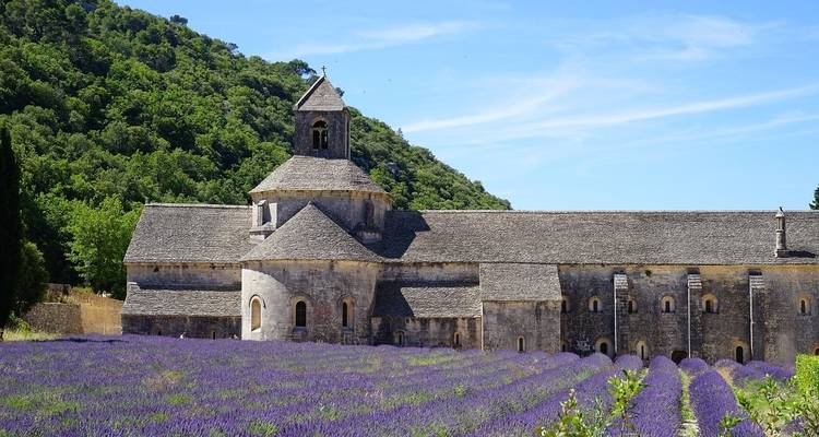 Abadía histórica rodeada de campos de lavanda.
