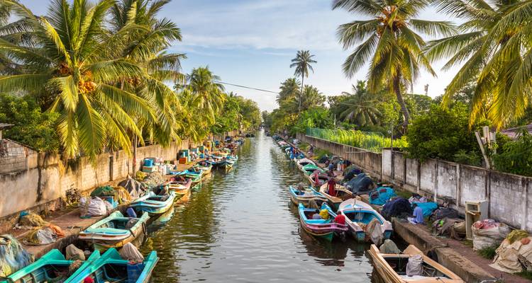 Canal angosto bordeado de barcas de pesca coloridas bajo palmeras que se mecen.