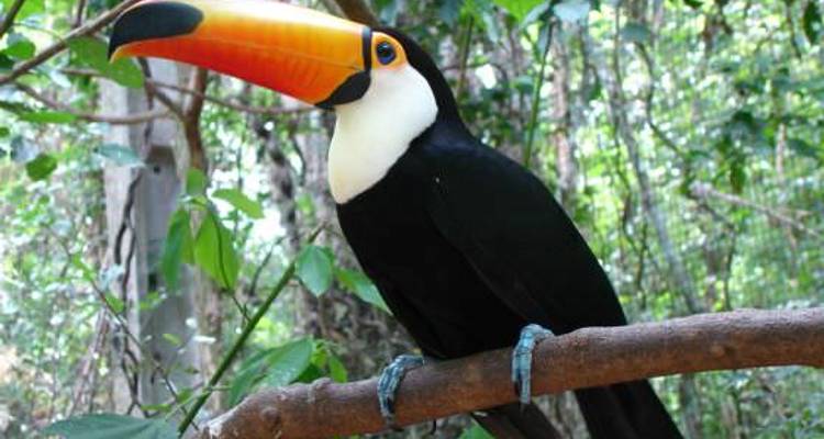 Lima To La Paz (34 Days) Peru & Bolivia Encompassed (inc. Amazon Jungle) - Oasis Overland