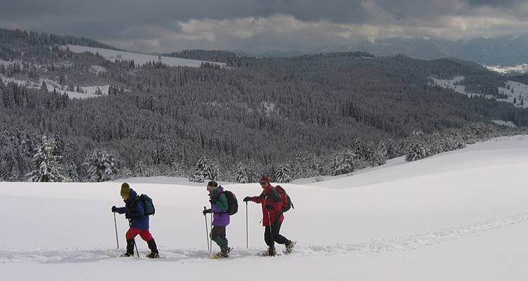 Wild Bulgaria: Winter Walk & Snowshoe - Exodus Travels