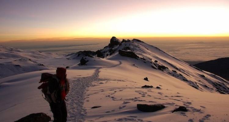 Climbing Kilimanjaro (Machame Route) - Wild Guanabana