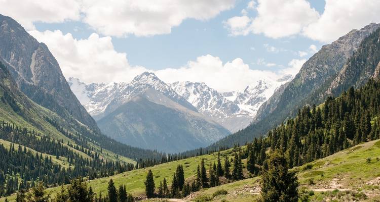 Magnifique paysage de montagne avec des sommets enneigés.