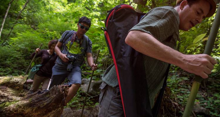Les randonneurs montent un sentier forestier étroit avec des bâtons de marche et des sacs à dos.