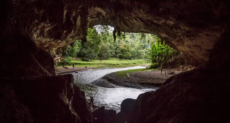 Vue depuis l'intérieur d'une grotte rocheuse regardant vers une forêt luxuriante et un ruisseau sinueux.