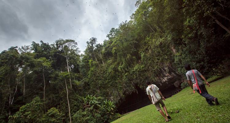 Deux voyageurs marchent à travers une clairière herbacée en direction d'une grande ouverture de grotte de jungle sous un ciel nuageux.
