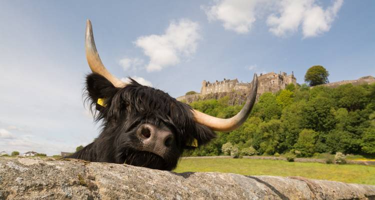 Loch Lomond, The Trossachs & Stirling Castle - from Glasgow - Timberbush Tours