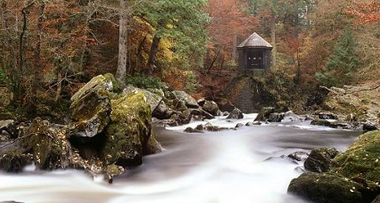 Highland Whisky, Woodland & Braveheart - from Edinburgh - Timberbush Tours