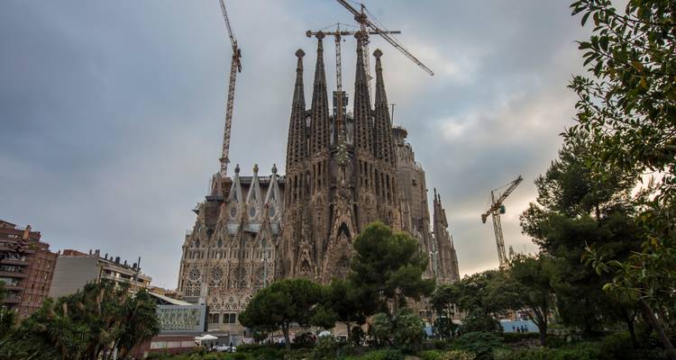 Les flèches imposantes de la Sagrada Família s'élèvent au-dessus des arbres et des grues environnants