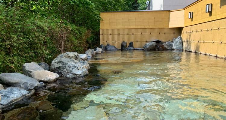 Sereen outdoor onsen zwembad omringd door rotsen en groen met helder mineraalwater.