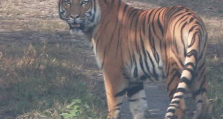 Nepal Culture Tour and Rafting, Safari, Pokhara and Combined Sarangkot Hiking - Manakamana Treks & Expedition Pvt. Ltd.