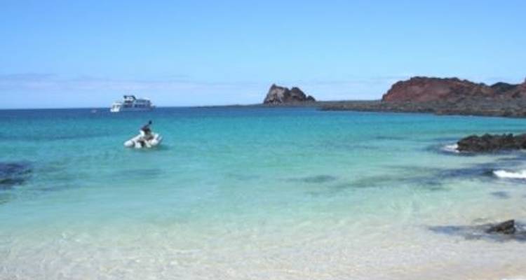 Absolute Galapagos (Daphne) - Geckos Adventures
