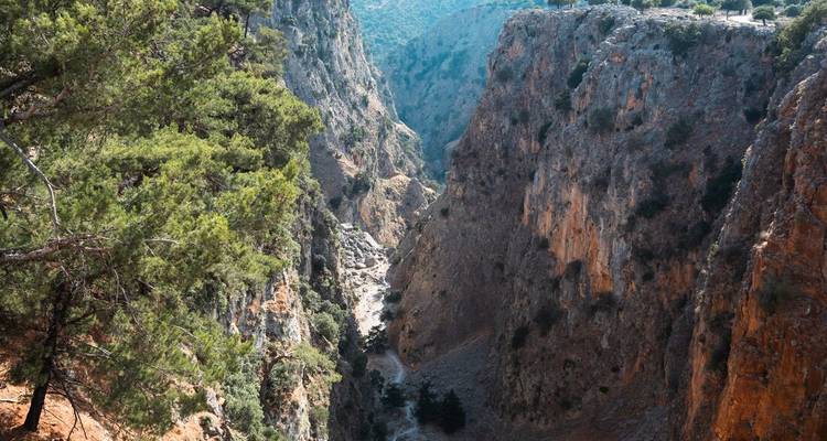 Tiefe felsige Schlucht mit steilen Klippen und verstreuten Kiefern im hellen Licht