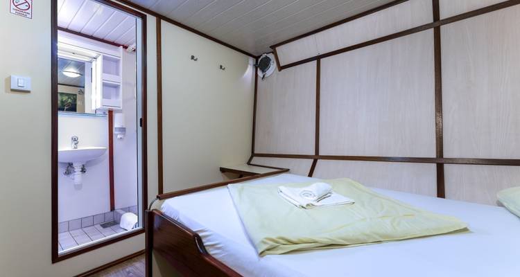 Innenraum einer Hütte mit einem Bett und einem eigenen Badezimmer, Tür offen zu einem Waschbecken und einer Toilette.