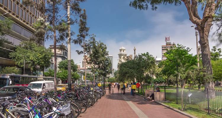 Tree-lined city promenade with rows of parked bicycles, strolling pedestrians and modern buildings.