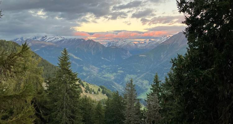 Alpine valley view at dusk with snowy peaks catching pink light and dark fir trees in foreground.