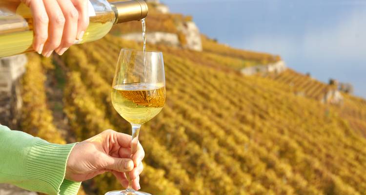 Close-up of white wine being poured into a glass above golden terraced vineyards overlooking a lake.