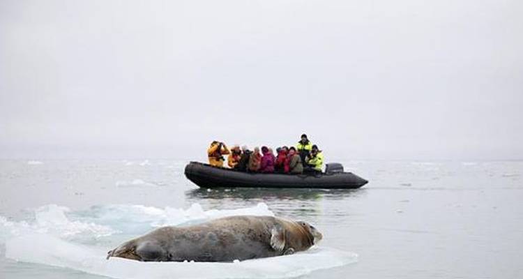 Northwest Passage: Epic High Arctic - Exodus Travels