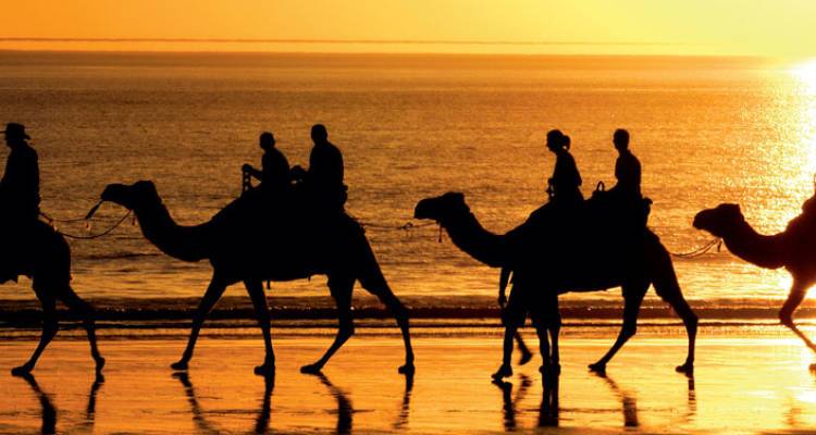 Perth to Broome Overland - Intrepid Travel