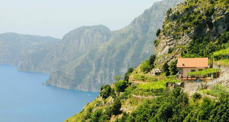 Les vignobles en terrasses s'accrochent aux falaises escarpées surplombant une mer bleue scintillante le long de la côte d'Amalfi.