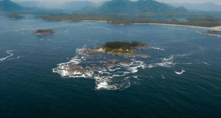 Canada Wildlife & Vancouver Island - Grand American Adventures