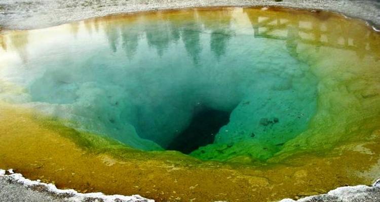 Yellowstone Wildlife Trails - Grand American Adventures
