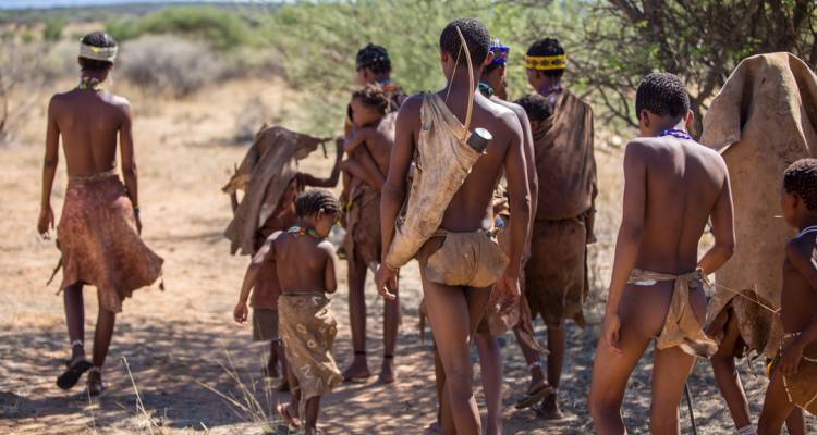 07 Day Namibian Highlights - Chameleon Safaris Namibia