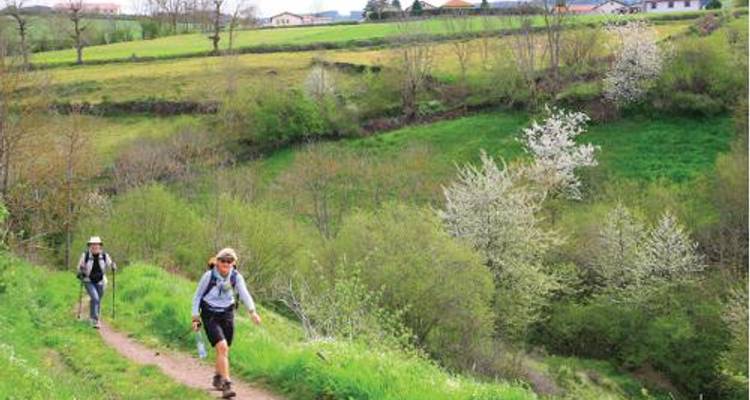 The Full French Way of St James - UTracks
